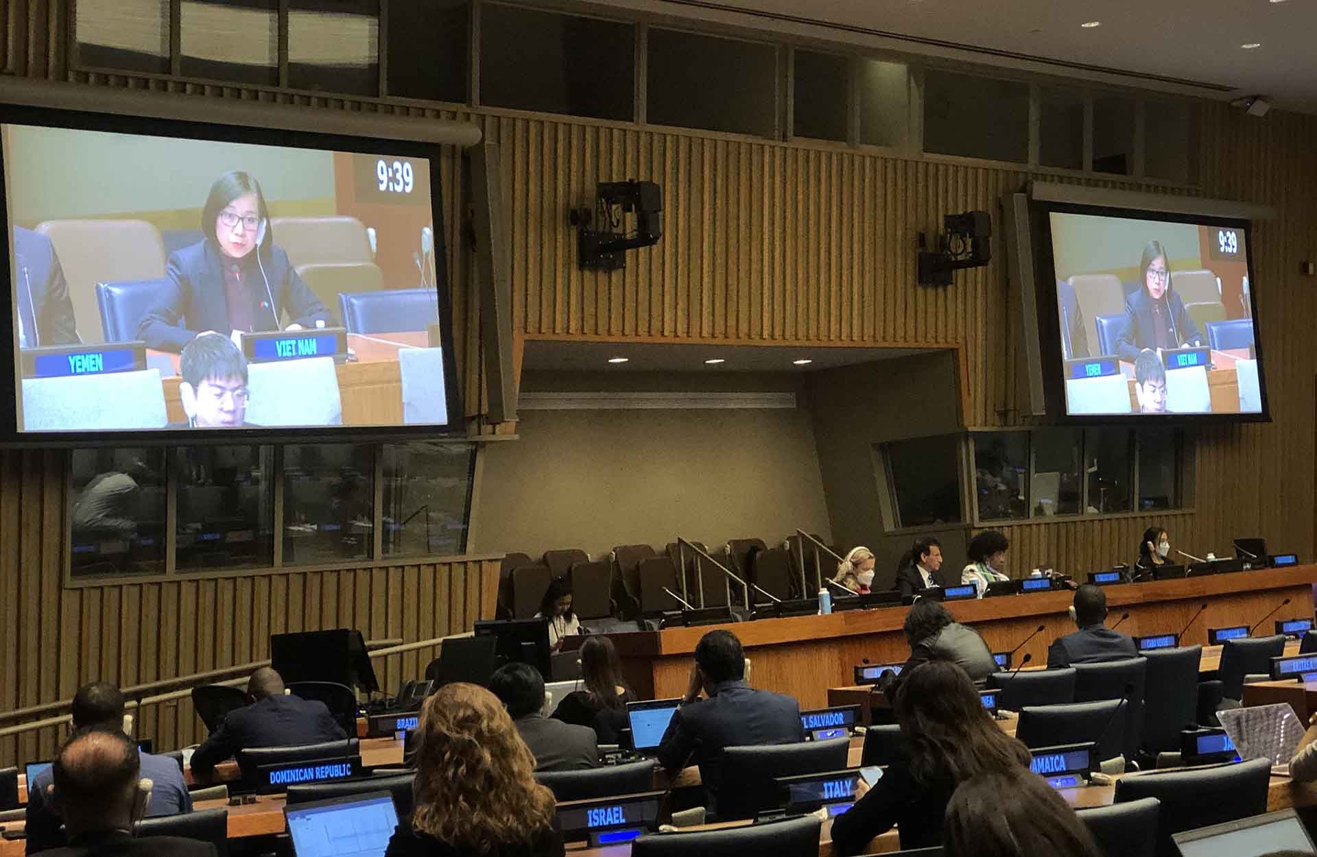 Việt Nam tham gia thảo luận về phi thực dân hóa tại Ủy ban Chính trị đặc biệt và Phi thực dân hóa của Đại hội đồng LHQ Việt Nam tham gia thảo luận về phi thực dân hóa tại Ủy ban Chính trị đặc biệt và Phi thực dân hóa của Đại hội đồng LHQ