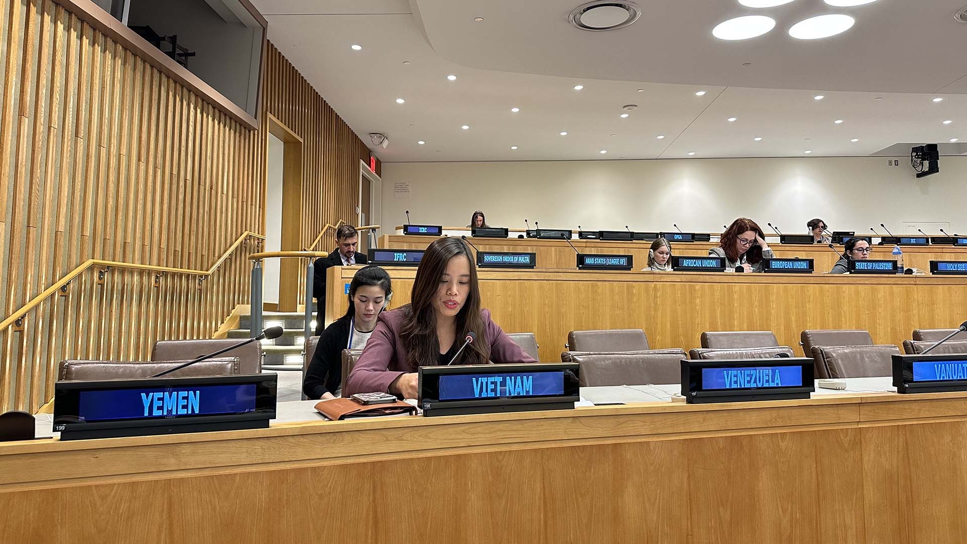 Tham tán Công sứ Lê Thị Minh Thoa, Phó Trưởng Phái đoàn thường trực Việt Nam tại LHQ Phát biểu tại phiên thảo luận.