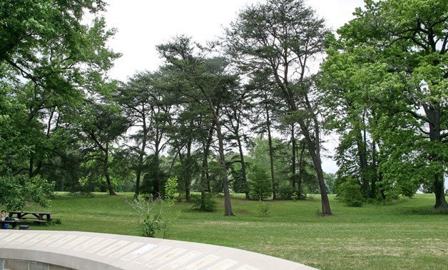 Ai Cập triển khai trồng 100 triệu cây xanh nhằm chống biến đổi khí hậu Ai Cập triển khai trồng 100 triệu cây xanh nhằm chống biến đổi khí hậu