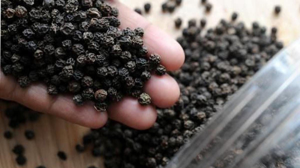 Giá tiêu hôm nay 3/4/2025: Nguồn cung thắt chặt, nhu cầu ổn định, người dân giữ hàng, thị trường khả năng neo ở mức giá cao