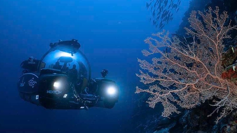 Thám hiểm Maldives, phát hiện ốc đảo sâu dưới lòng Ấn Độ Dương