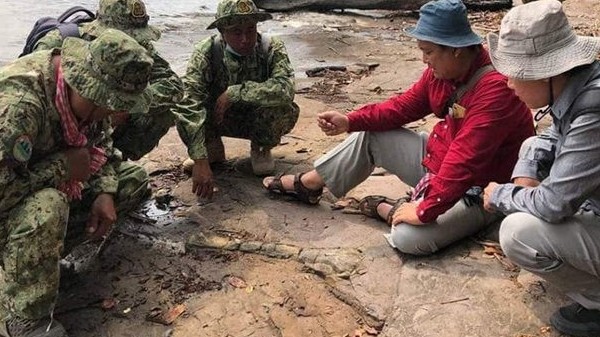 Campuchia tìm thấy mẫu hóa thạch động vật trên đảo Koh Por là xương khủng long