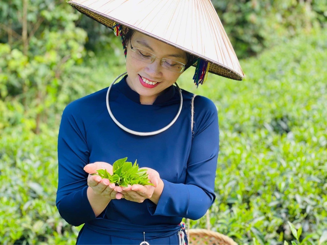 Giám đốc HTX Trà Sơn Dung thế hệ tiếp nối Sơn Dung Trà Giám đốc HTX Trà Sơn Dung thế hệ tiếp nối Sơn Dung Trà