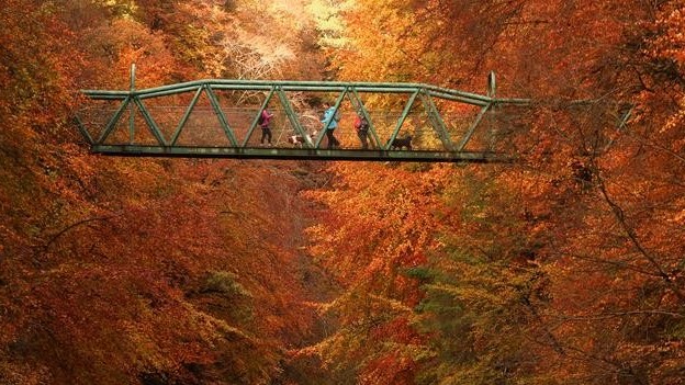 Khung cảnh mùa Thu ở Bắc bán cầu đẹp long lanh như trong truyện cổ tích