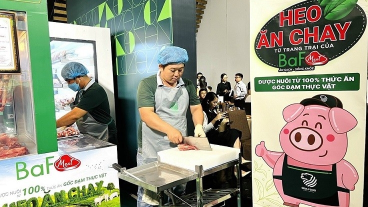 Giá heo hơi hôm nay 23/11: Miền Bắc dẫn đầu cả nước về mức giá, miền Trung – Tây Nguyên ghi nhận mức tăng tại một số tỉnh