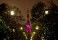 Điểm tin thế giới sáng 2/11: Bộ trưởng Hàn Quốc xin lỗi, Italy điều tra Pfizer, Phó Tổng thống Mỹ dự Hội nghị APEC