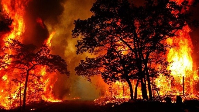 Cảnh báo khí hậu Trái đất đang ở mức xấu kỷ lục