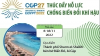 Những nỗ lực chống biến đổi khí hậu nào sẽ được thúc đẩy tại Hội nghị COP27?