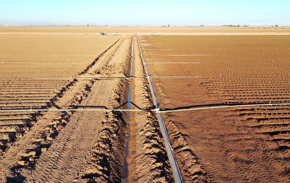 Quang cảnh cánh đồng, kênh tưới tiêu và đường ống ở Holtville, California, Mỹ ngày 20/9. (Nguồn: Reuters)