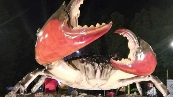 Ngày hội Cua Cà Mau lần thứ I năm 2022, xác lập kỷ lục và nhận bằng kỷ lục châu Á