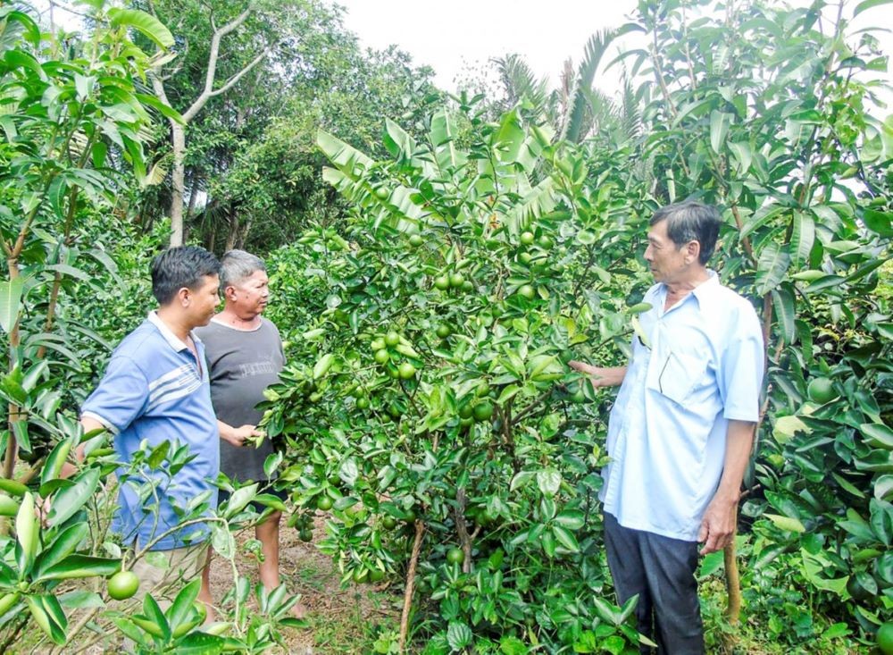 Hậu Giang: Vùng đồng bào dân tộc đang đổi thay