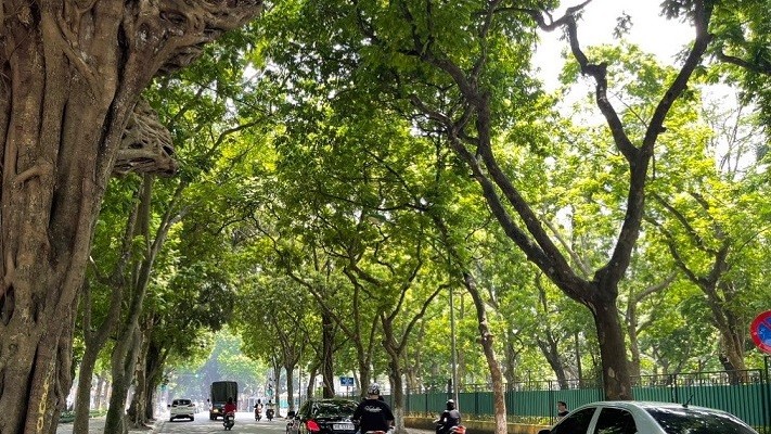 Dự báo thời tiết đêm nay và ngày mai (11-12/11): Hà Nội trời nắng; Bắc Bộ, Bắc Trung Bộ lạnh về đêm và sáng sớm; Nam Bộ tối đêm mưa to cục bộ