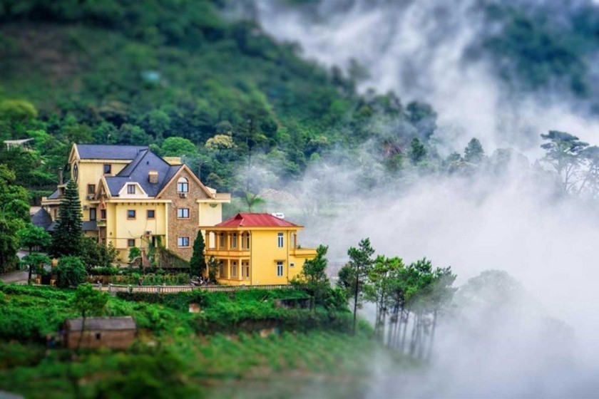 Tam Đảo Tam Đảo