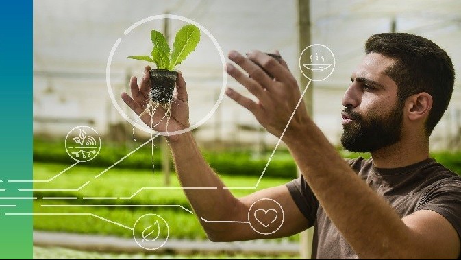 Ai Cập và FAO phát động sáng kiến về nông nghiệp và lương thực