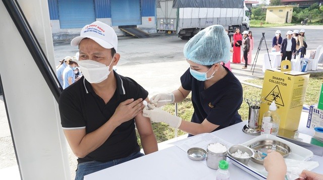 covid-19 ngày 14/11. (Nguồn: SK&ĐS)