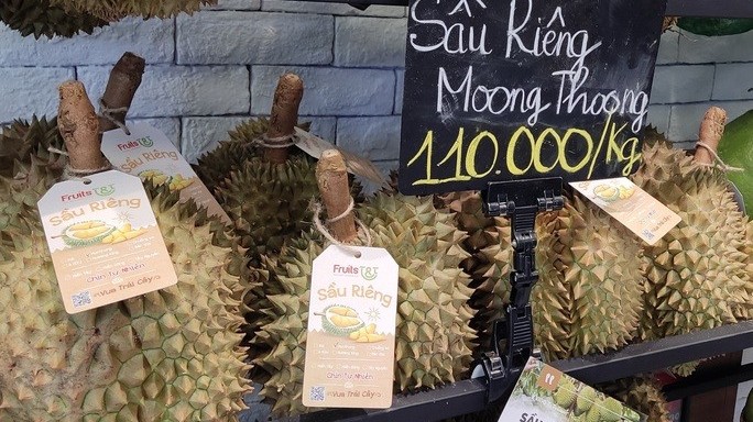 Xuất khẩu ngày 11-13/11: Hai 'ông lớn' bắt tay đưa sầu riêng sang Trung Quốc; tận dụng cơ hội xuất khẩu từ UKFTA