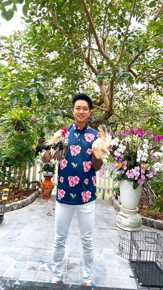 Sao Việt: Sao Việt: