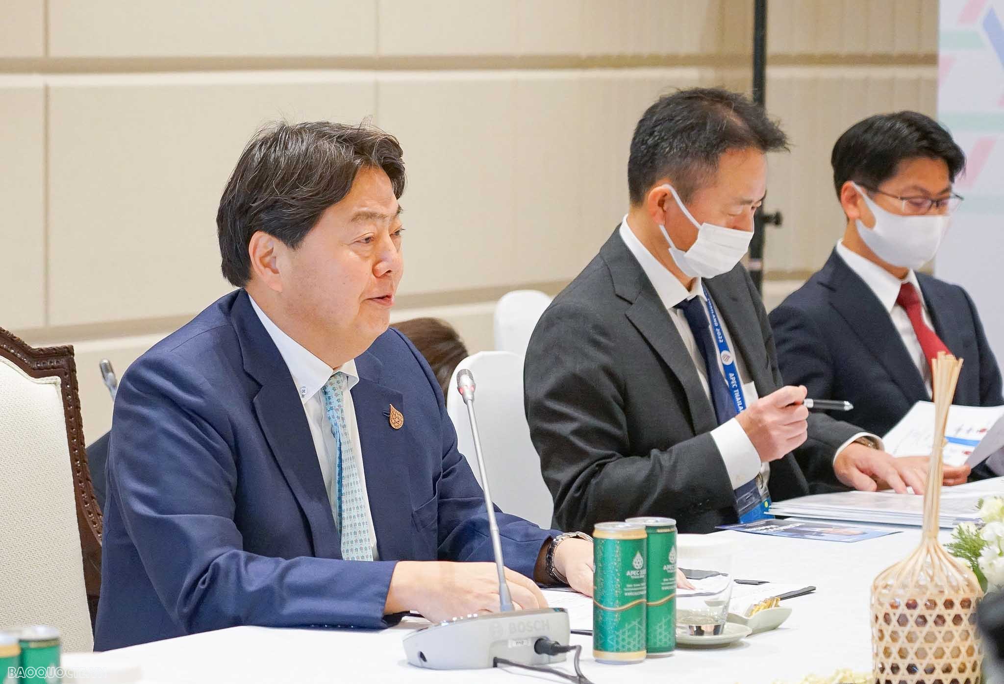 Việt Nam có vị trí quan trọng hàng đầu trong triển khai chính sách đối ngoại của Nhật Bản với khu vực