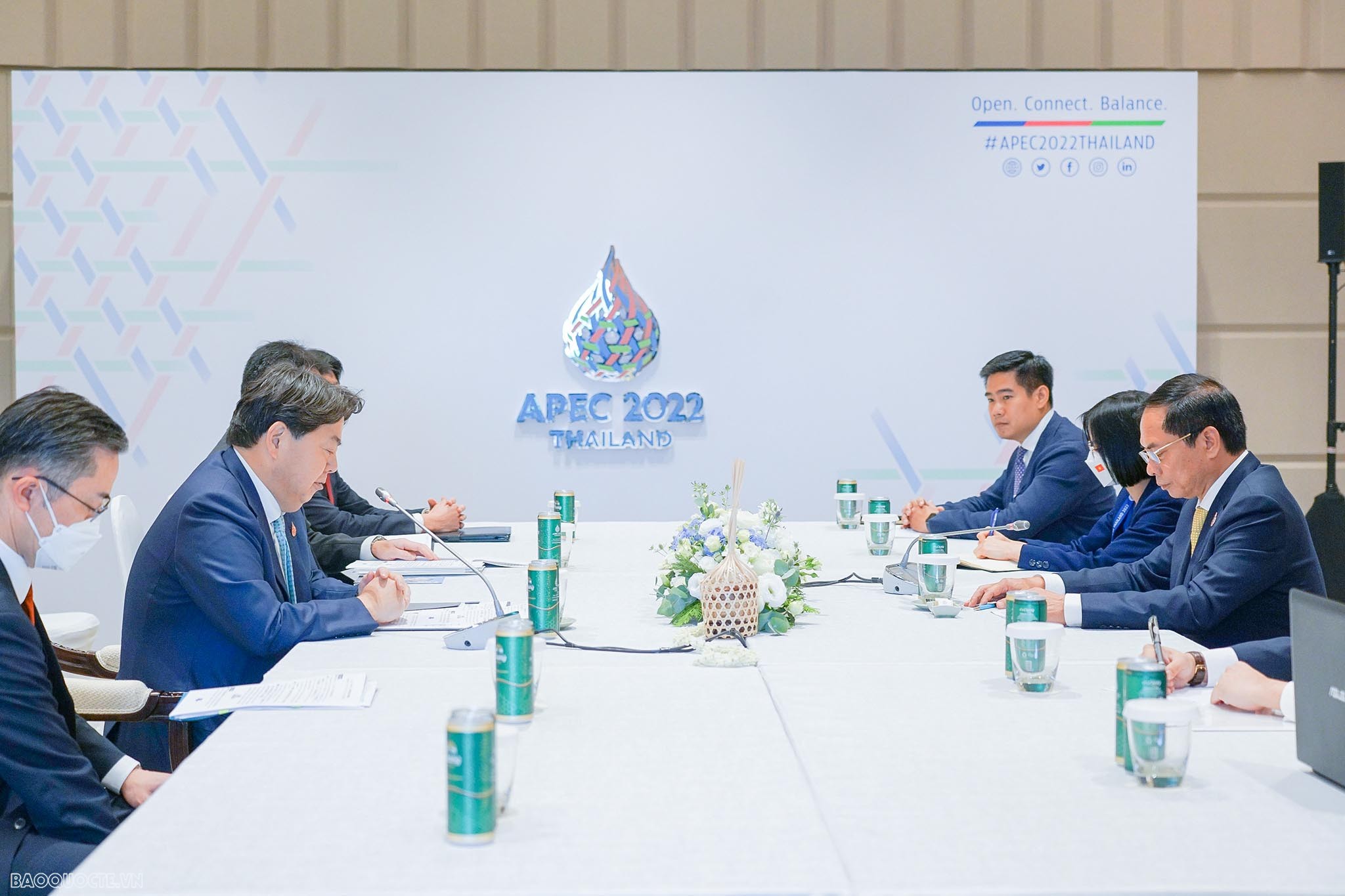 Việt Nam có vị trí quan trọng hàng đầu trong triển khai chính sách đối ngoại của Nhật Bản với khu vực