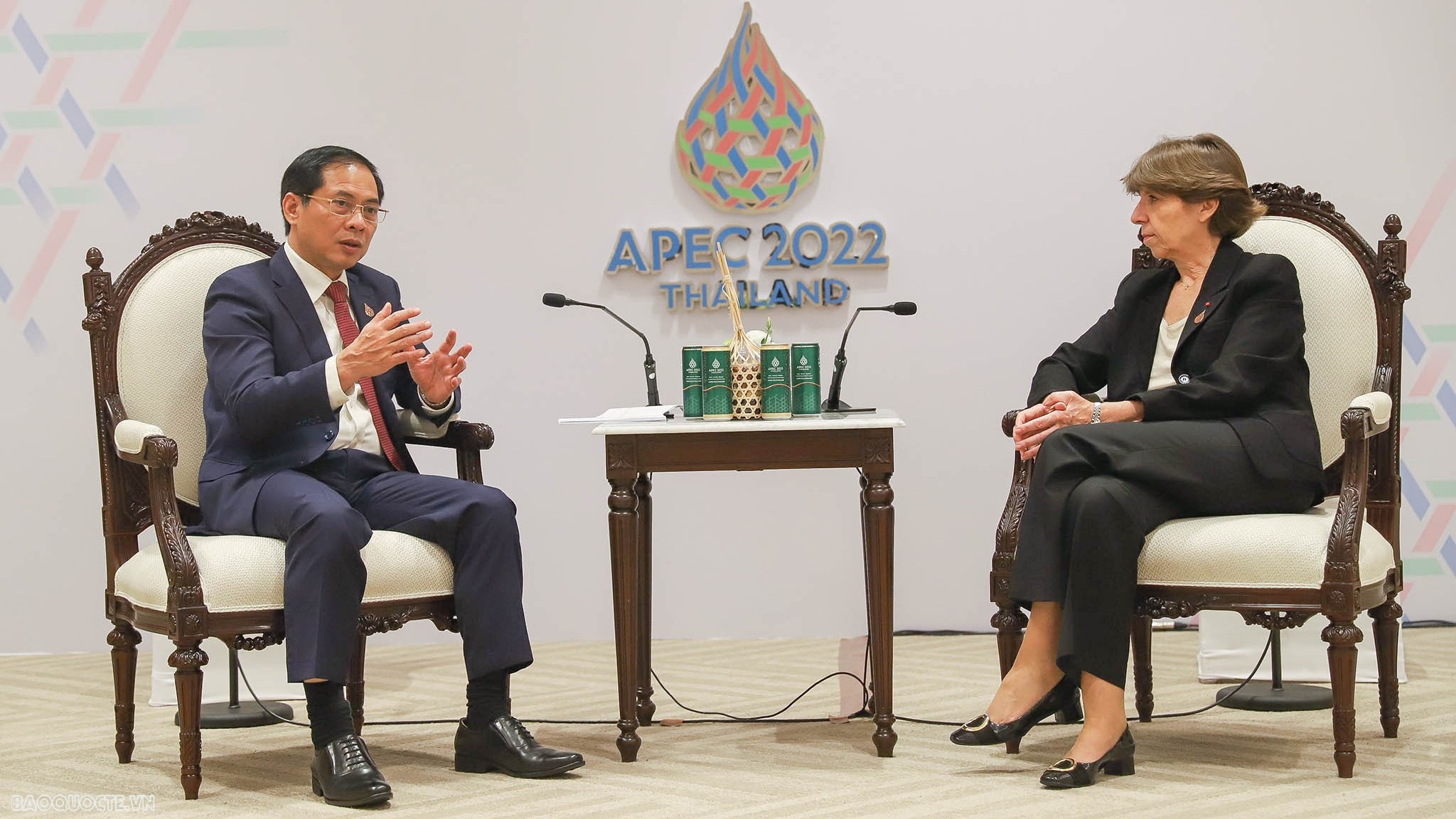 Bộ trưởng Bùi Thanh Sơn gặp Bộ trưởng Ngoại giao Pháp và Papua New Guinea