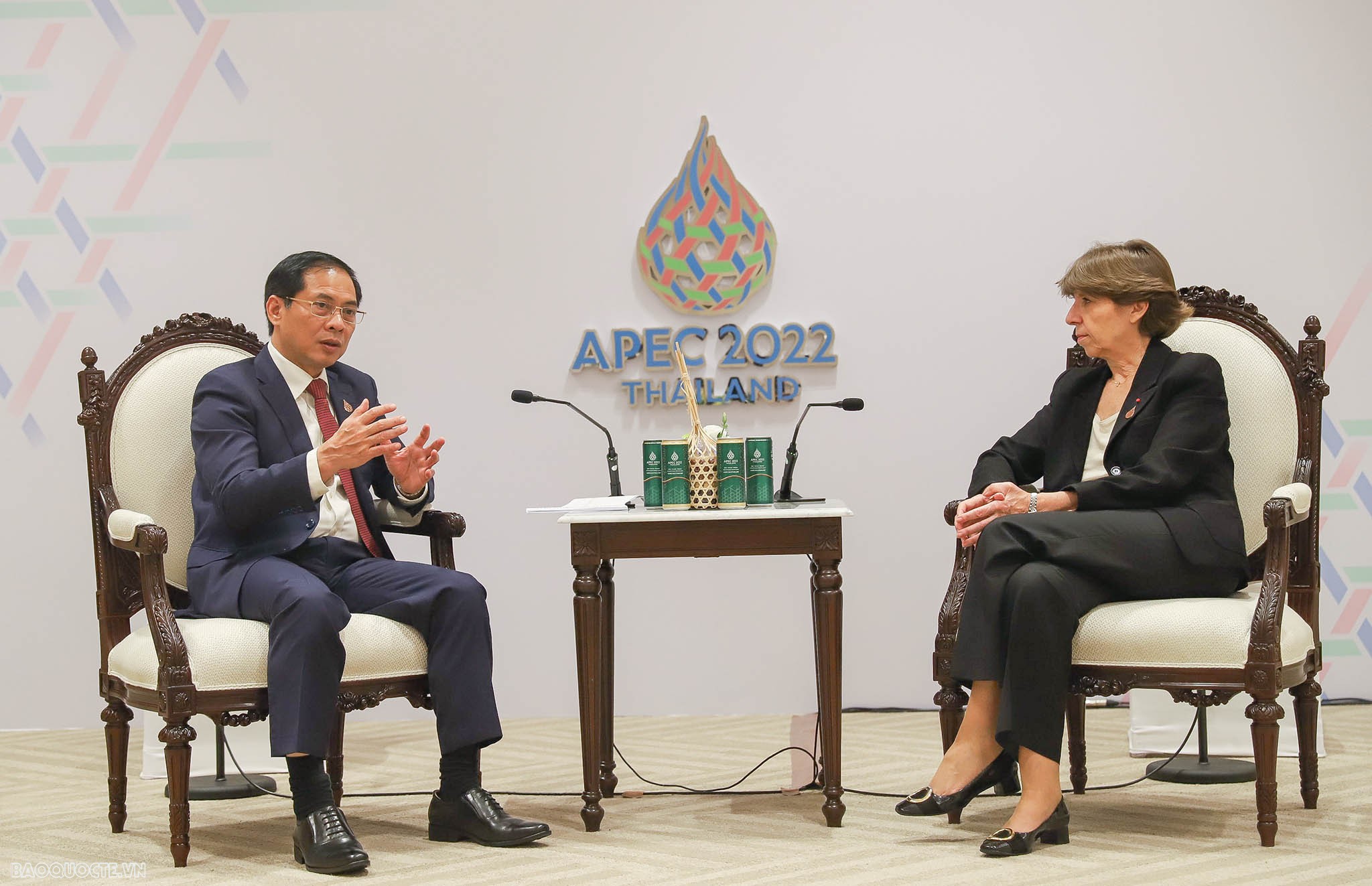 Bộ trưởng Bùi Thanh Sơn gặp Bộ trưởng Ngoại giao Pháp và Papua New Guinea