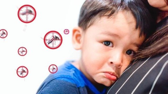 Chăm sóc trẻ sốt xuất huyết tại nhà như thế nào?