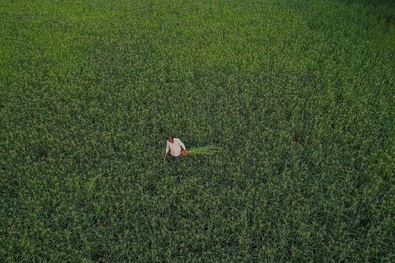 Ảnh ấn tượng tuần (14-20/11): Ukraine-NATO nói trái ngược nhau về tên lửa rơi ở Ba Lan, Nga tuyên bố không thấy có lỗi; Mỹ-Trung tìm điểm đồng