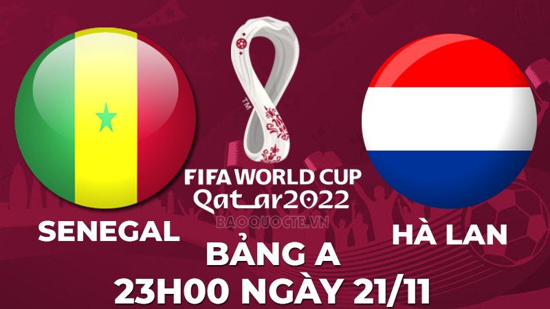 Link xem trực tiếp Senegal vs Hà Lan (23h00 ngày 21/11) World Cup 2022 bảng A