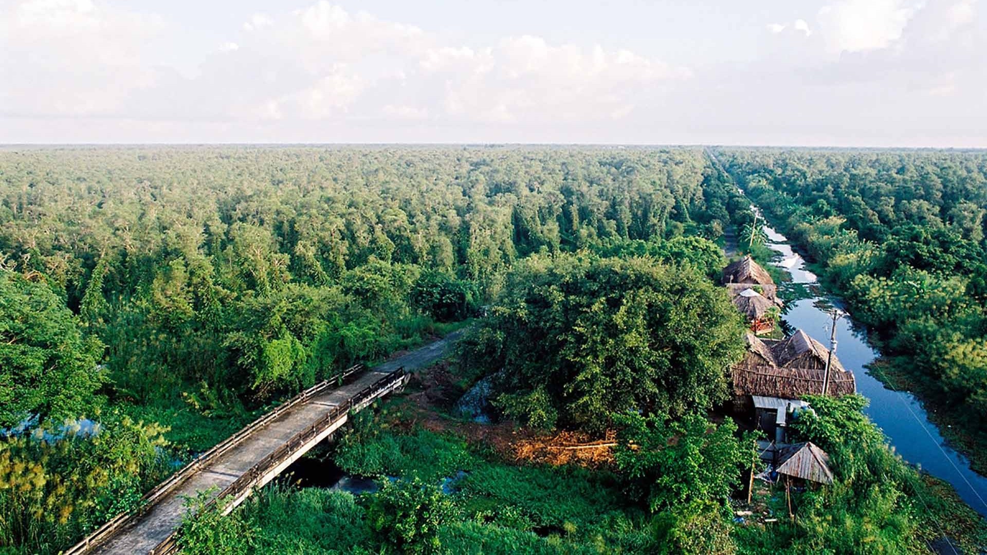 Liên minh Rừng ngập mặn vì khí hậu