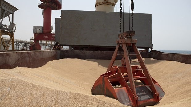 Xung đột Nga-Ukraine: LHQ đề nghị gia hạn thỏa thuận ngũ cốc, nghị sĩ Đức kêu gọi hòa đàm