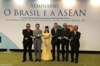 Brazil là đối tác lớn và quan trọng của Việt Nam ở Nam Mỹ