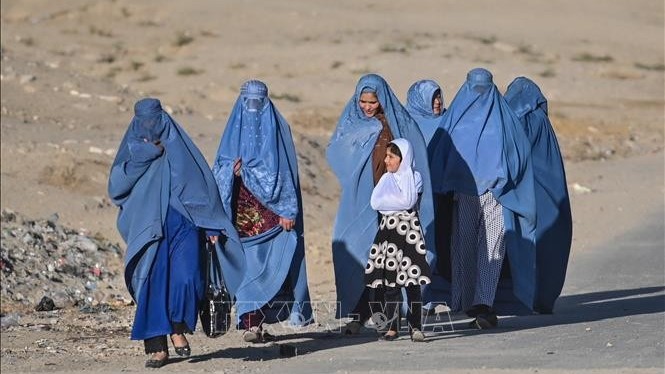 Liên hợp quốc kêu gọi đóng góp tài chính cho quỹ cứu giúp người khuyết tật, người già, phụ nữ và trẻ em gái