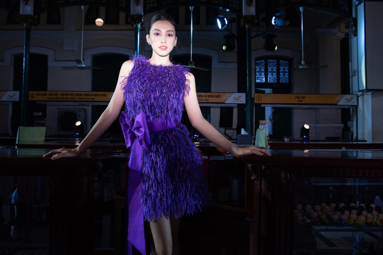 Hoa hậu Tiểu Vy Hoa hậu Tiểu Vy