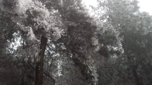 Dự báo thời tiết: Không khí lạnh ảnh hưởng đến Trung Bộ; Bắc Bộ tiếp tục rét, vùng núi rét đậm rét hại