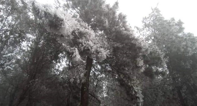 Dự báo thời tiết: Không khí lạnh ảnh hưởng đến Trung Bộ; Bắc Bộ tiếp tục rét, vùng núi rét đậm rét hại Dự báo thời tiết: Không khí lạnh ảnh hưởng đến Trung Bộ; Bắc Bộ tiếp tục rét, vùng núi rét đậm rét hại