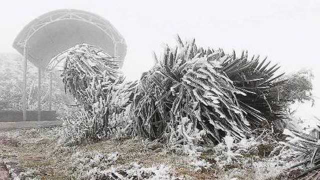 Dự báo không khí lạnh: Từ chiều và đêm 28/12, Bắc Bộ, Thanh Hóa rét đậm, vùng núi rét hại; vùng núi cao có mưa tuyết và băng giá