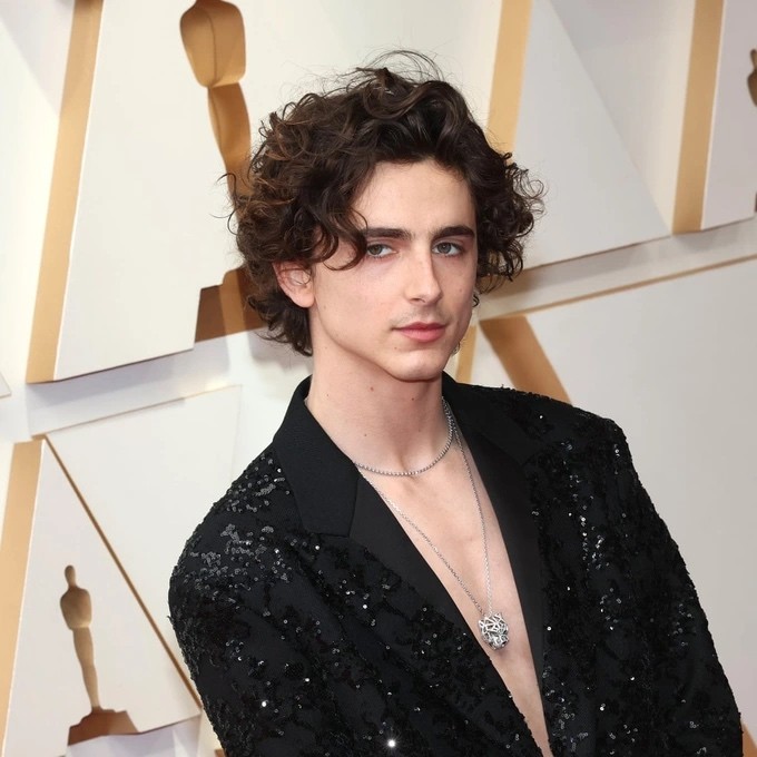 Timothée Chalamet. (Nguồn: Getty Images) Timothée Chalamet. (Nguồn: Getty Images)
