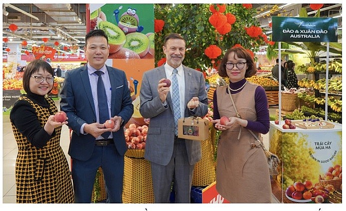 Đào và xuân đào Australia đã có mặt tại thị trường Việt Nam