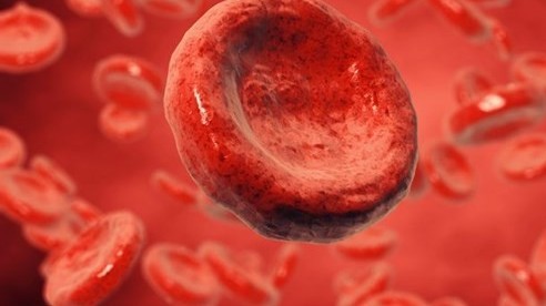 Nghiên cứu mới: Phát hiện và xác định các tế bào chết trong máu