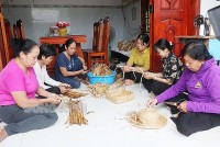 Bến Tre phát triển đa dạng sinh kế, nỗ lực thoát nghèo bền vững