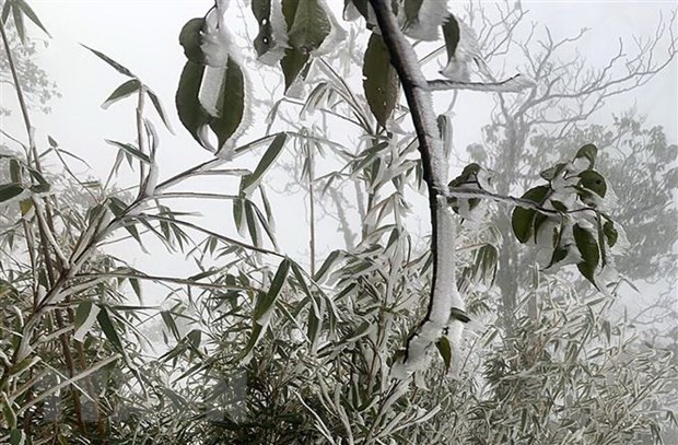 Tin dự báo không khí lạnh mạnh: Từ chiều và đêm 15-18/1, Bắc Bộ, Bắc Trung Bộ rét đậm, vùng núi rét hại; vùng núi cao có thể mưa tuyết và băng g Tin dự báo không khí lạnh mạnh: Từ chiều và đêm 15-18/1, Bắc Bộ, Bắc Trung Bộ rét đậm, vùng núi rét hại; vùng núi cao có thể mưa tuyết và băng g