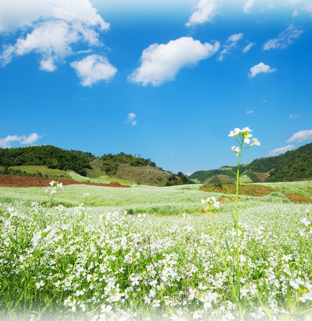 Du Xuân 2023: Những điểm đến không thể bỏ lỡ