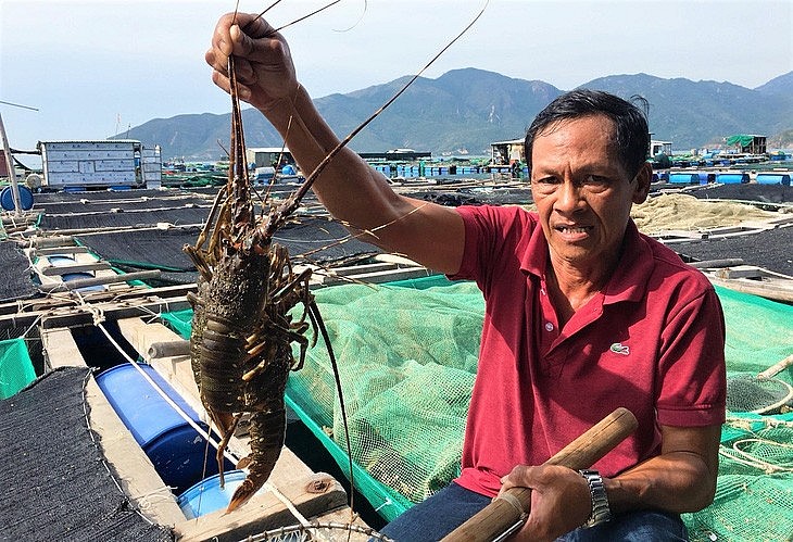 Xuất khẩu ngày 16-20/1: Xuất khẩu ngày 16-20/1: Trung Quốc mở cửa, tôm hùm lãi đậm; doanh nghiệp xuất khẩu vào EU 'vấp' thuế carbon