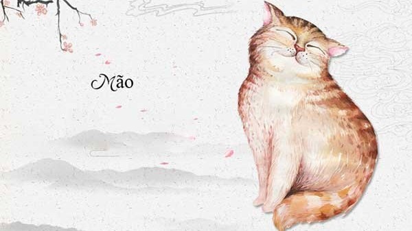 Điểm danh những người tuổi Mão nổi tiếng và tài hoa của thế giới