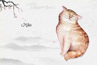 Điểm danh những người tuổi Mão nổi tiếng và tài hoa của thế giới