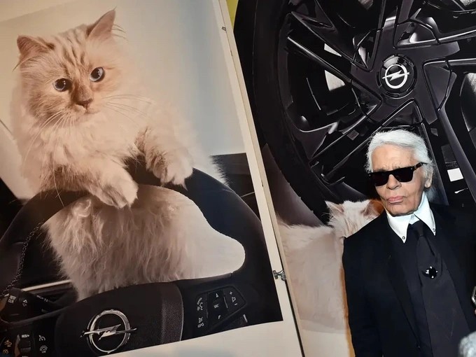 Kể từ khi về ở với nhà thiết kế Karl Lagerfeld, Choupette được đối xử như một quý cô sang chảnh (Ảnh: Insider). Kể từ khi về ở với nhà thiết kế Karl Lagerfeld, Choupette được đối xử như một quý cô sang chảnh (Ảnh: Insider).