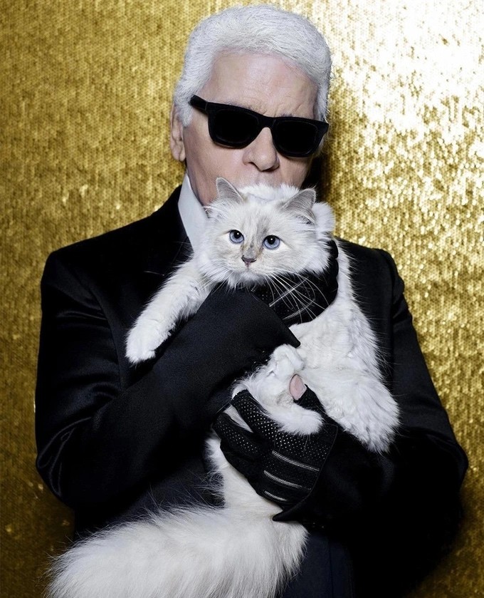 Mèo Choupette bên nhà thiết kế thời trang nổi tiếng - Karl Lagerfeld nhiều năm về trước (Ảnh: Insider). Mèo Choupette bên nhà thiết kế thời trang nổi tiếng - Karl Lagerfeld nhiều năm về trước (Ảnh: Insider).