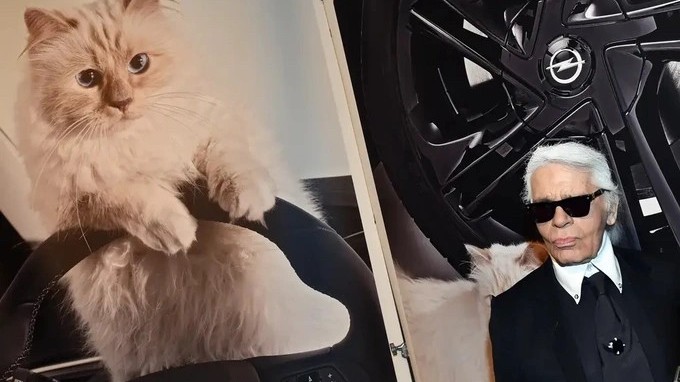 Choupette, cô mèo triệu đô ‘hút hồn’ nhà thiết kế thời trang huyền thoại Karl Lagerfeld