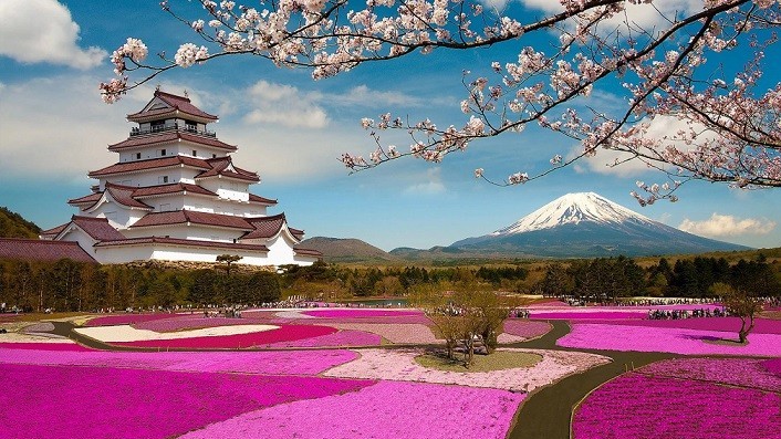 Sắc Xuân phủ sóng khắp thế giới