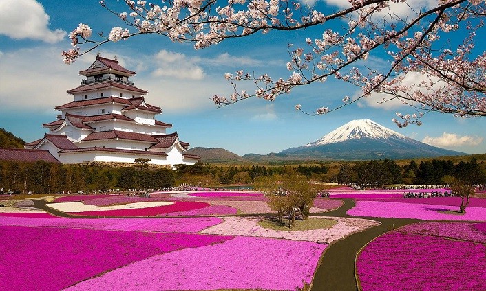 Chiêm ngưỡng sắc Xuân trên khắp thế giới